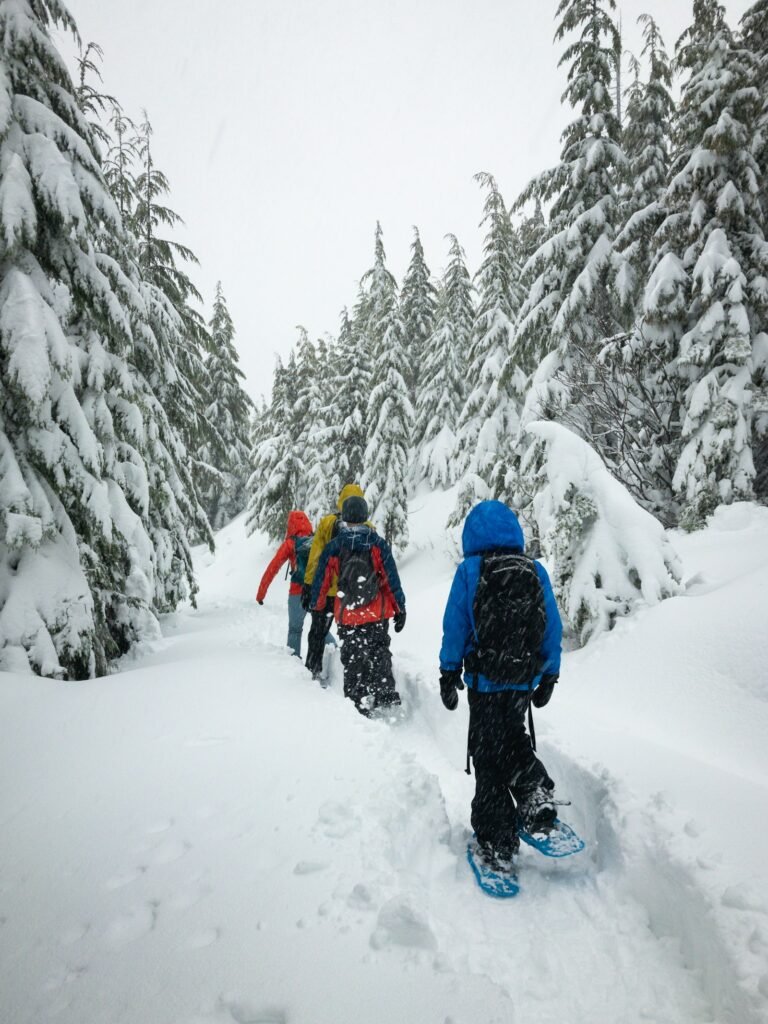 2-Day Winter Snowshoe Trek in the High Atlas