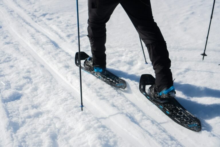 2-Day Winter Snowshoe Trek in the High Atlas