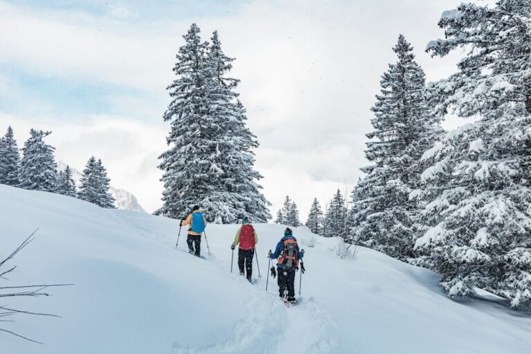 2-Day Winter Snowshoe Trek in the High Atlas
