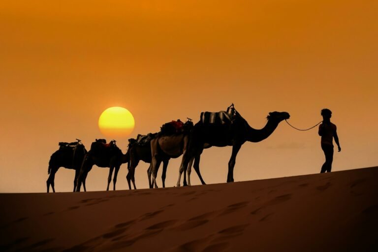 3-Day Desert Trek from Ouarzazate – Tidri & Erg Sahel Dunes
