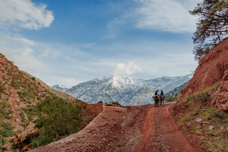 3-Day High Atlas E-Bike Tour from Imlil