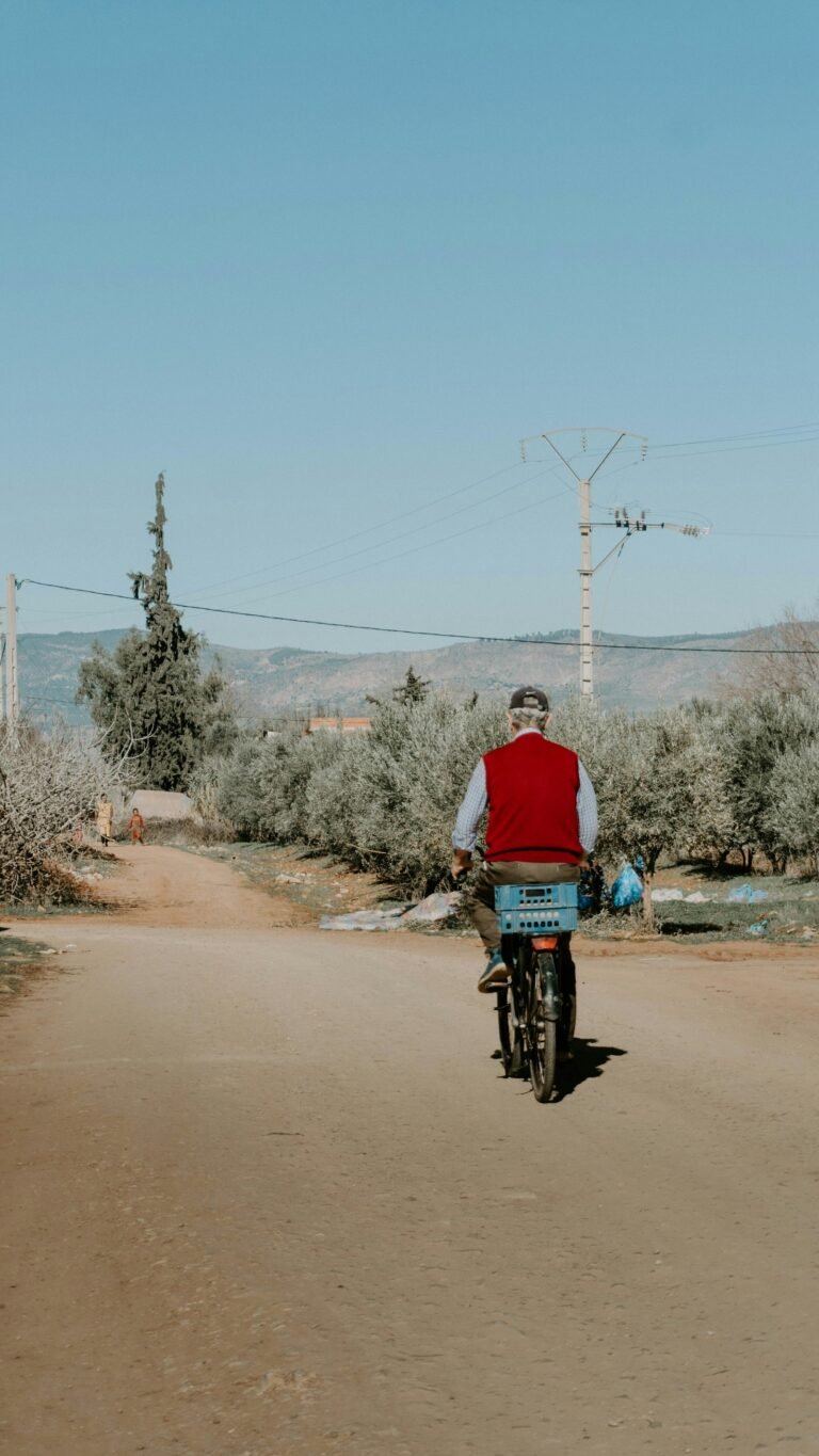 3-Day High Atlas E-Bike Tour from Imlil