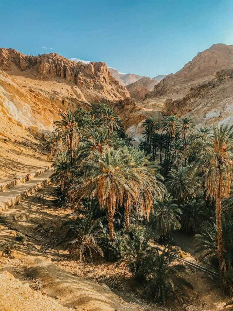 4-Day Draa Valley Desert Trek from Marrakech