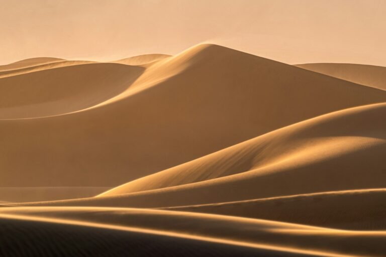 5-Day Family Desert Trek from M'Hamid (Kids from 4)