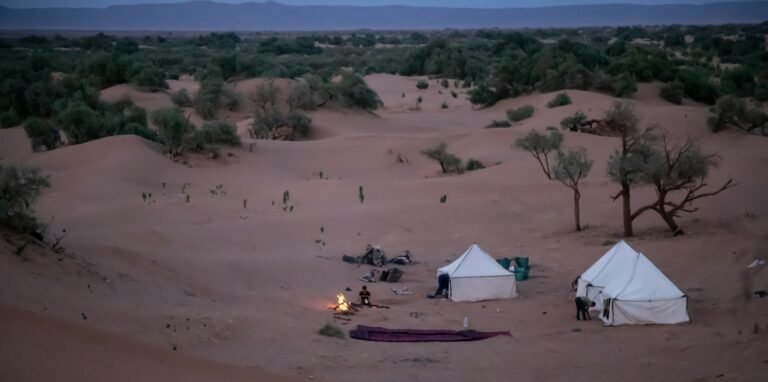 5-Day Family Desert Trek from M'Hamid (Kids from 4)