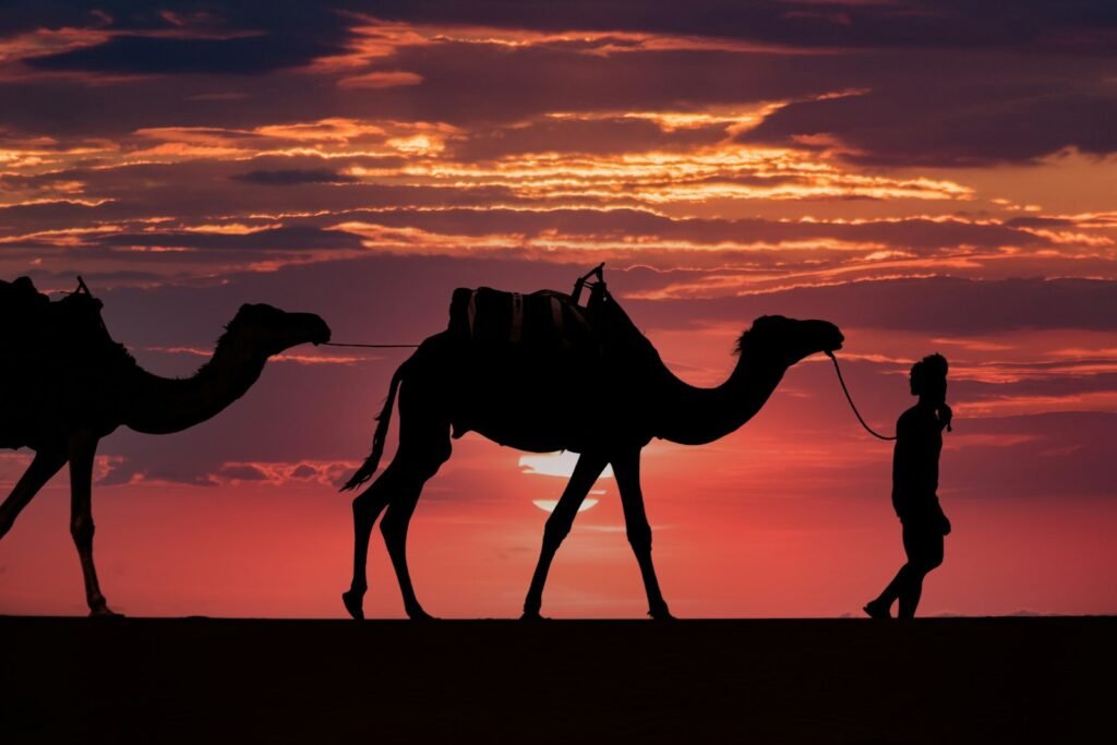 5-Day Sahara Camel Trek through the Draa Valley – Marrakech, Draa Valley, Morocco