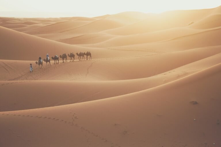 6-Day Erg Chigaga Desert Trek via the Bani Mountains