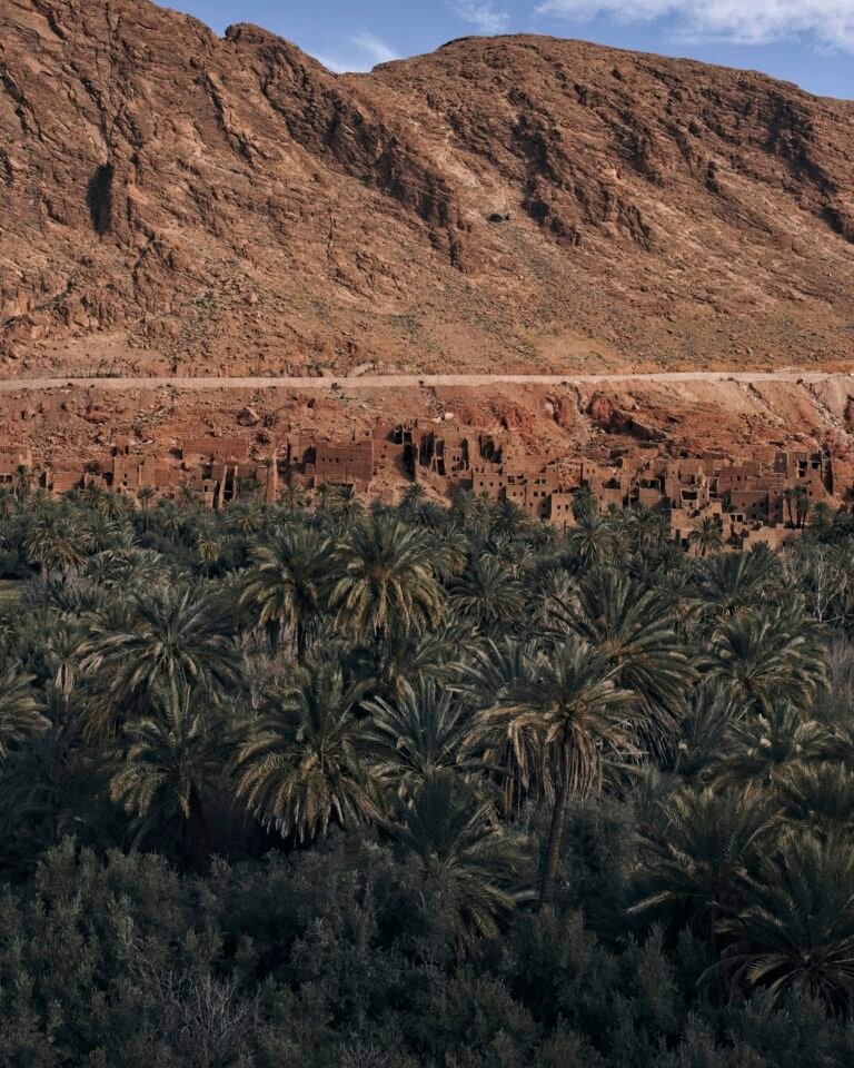6-Day Family Camel Trek in the Draa Valley Dunes