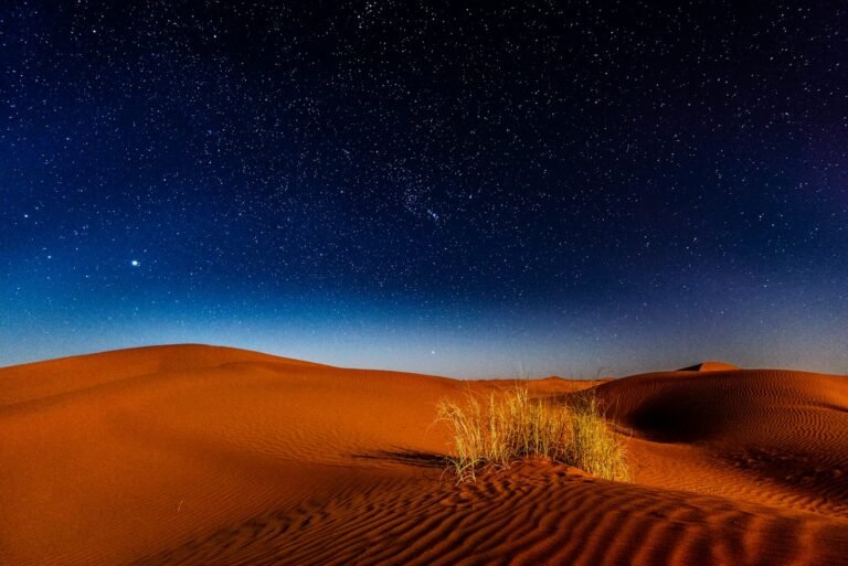 6-Day Family Camel Trek in the Draa Valley Dunes