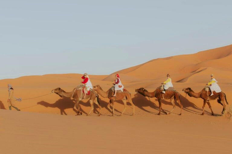 6-Day Family Camel Trek in the Draa Valley Dunes