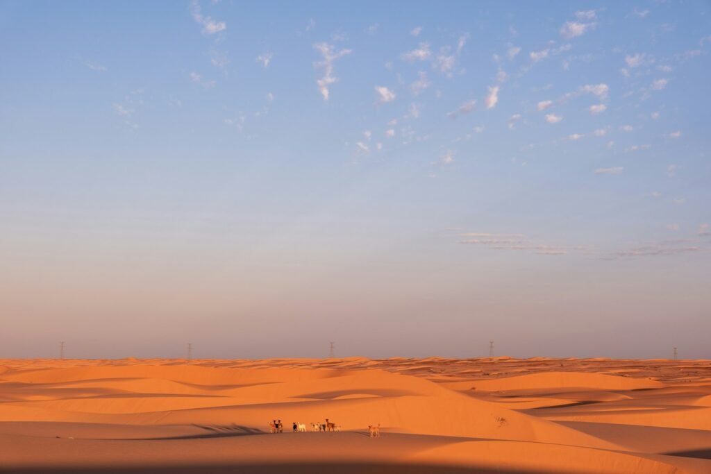 6-Day Sahara Trek South of M'Hamid – Erg Zaher Loop – Marrakech, M'Hamid, Morocco