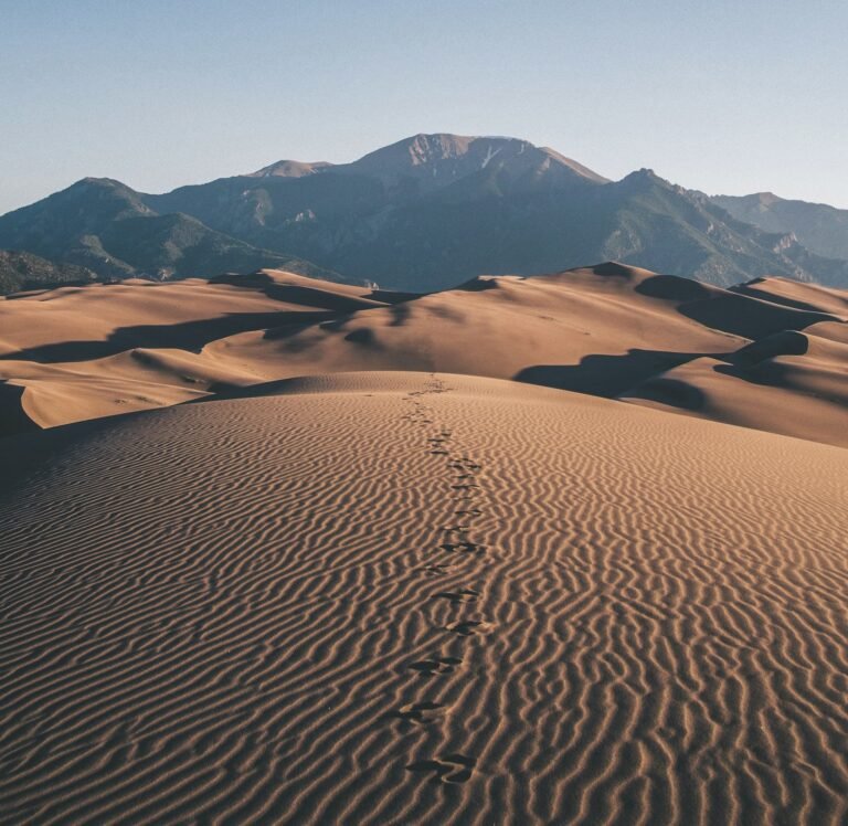 6-Day Sahara Trek South of M'Hamid – Erg Zaher Loop