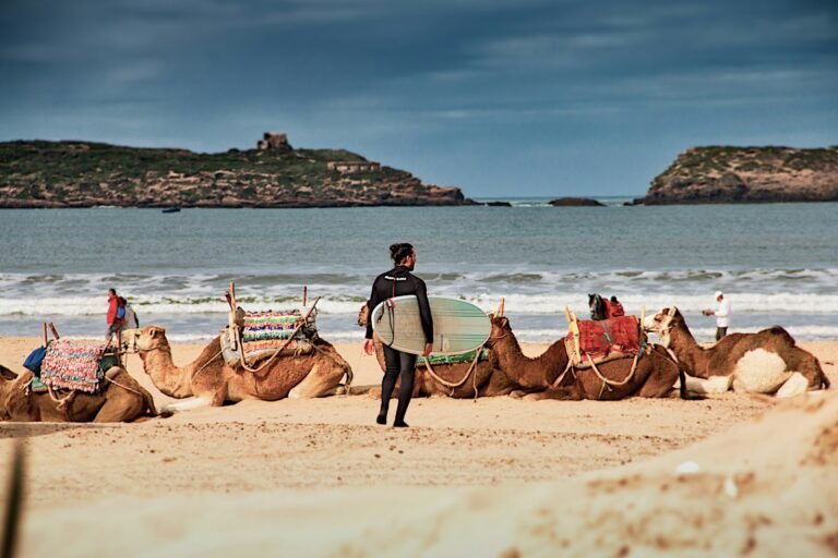 Essaouira Day Trip from Marrakech (Shared)