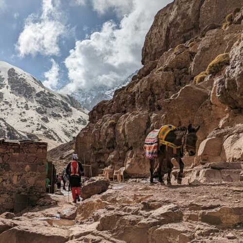 Mount Toubkal Summit Trek – 2 Days