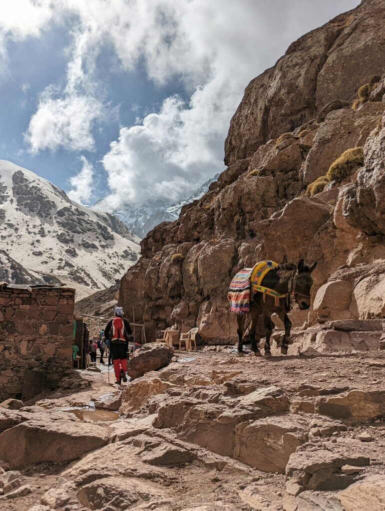 Mount Toubkal Summit Trek – 2 Days
