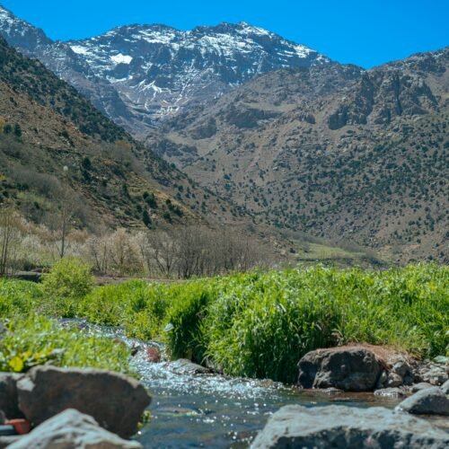 Ourika Valley & Setti Fatma Day Trip (Shared)