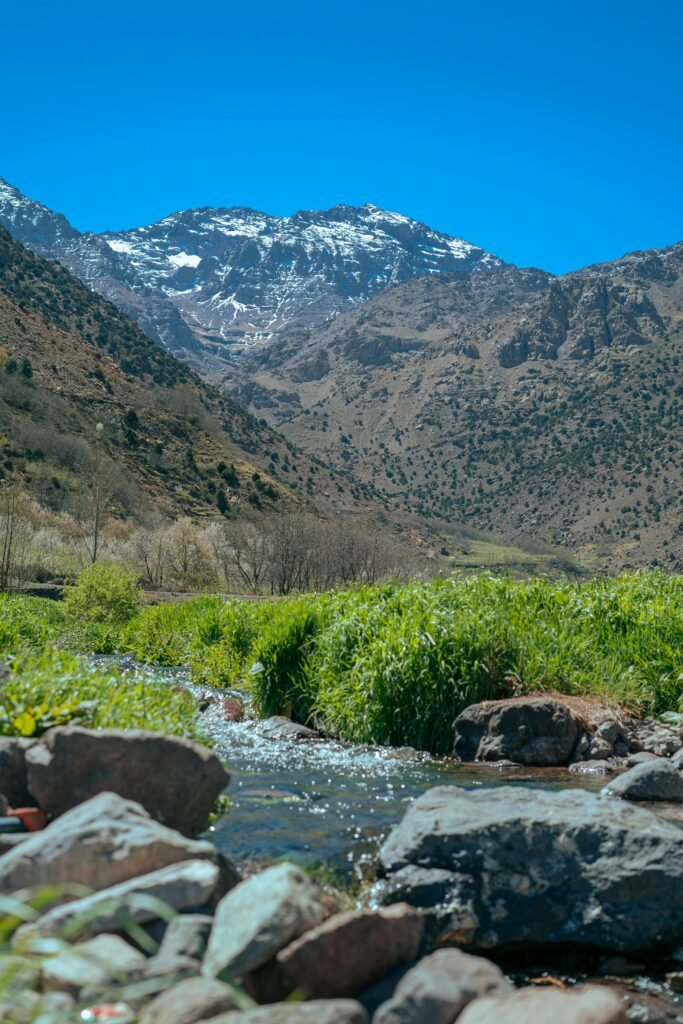 Ourika Valley & Setti Fatma Day Trip (Shared)