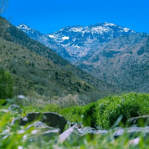 Ourika Valley & Setti Fatma Day Trip (Shared)