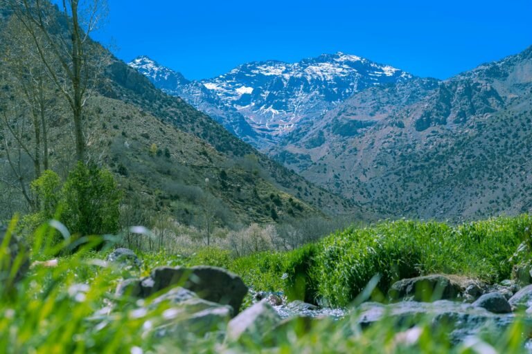 Private Ourika Valley Day Trip with Berber Home Visit