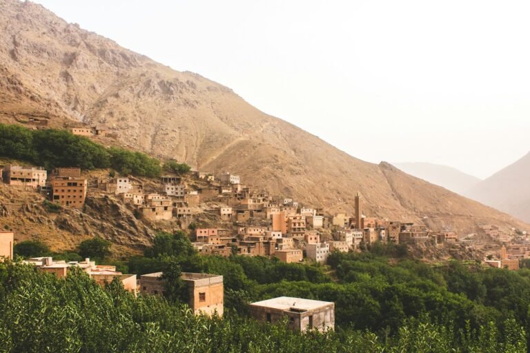Ourika Valley & Setti Fatma Day Trip (Shared)