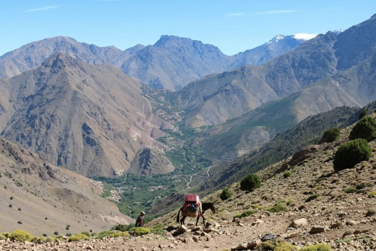 Private 3-Day Fes to Marrakech Sahara Tour