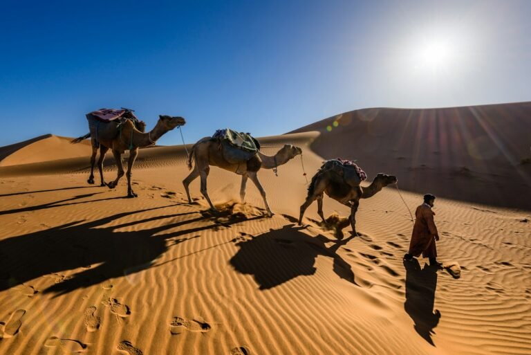 6-Day Desert Trek from Faija to M’Hamid – Dunes & Nomads