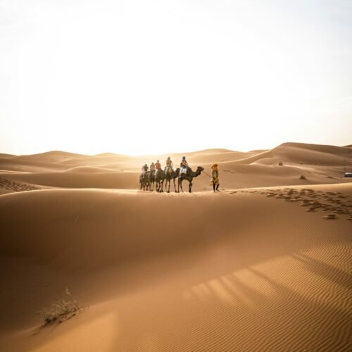 Private 3-Day Fes to Marrakech Sahara Tour