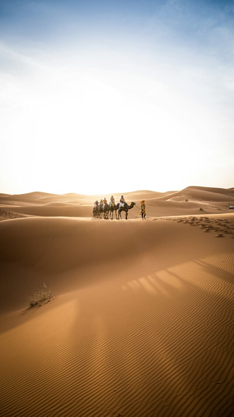 Private 3-Day Fes to Marrakech Sahara Tour