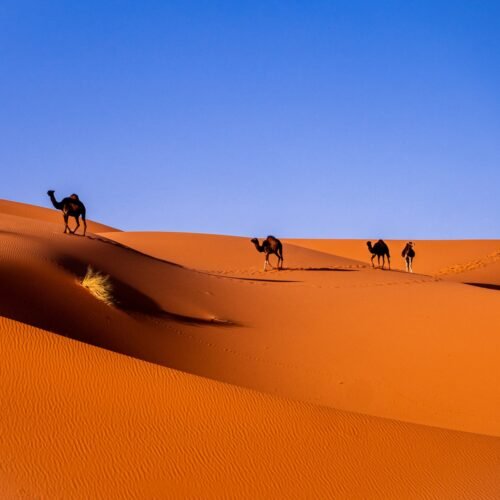 Private 3-Day Sahara Tour from Marrakech to Merzouga