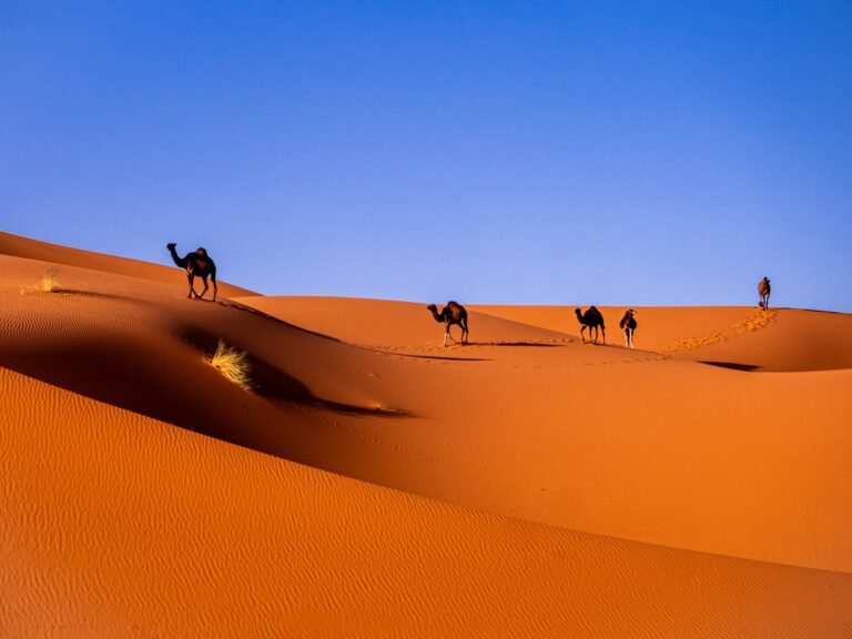 Private 3-Day Sahara Tour from Marrakech to Merzouga