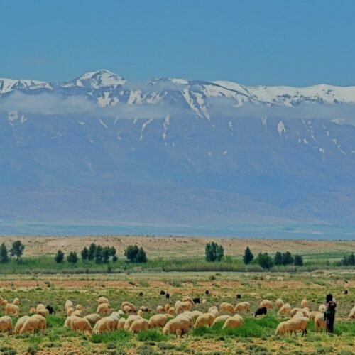 Private 3-Day Sahara Tour from Marrakech to Merzouga