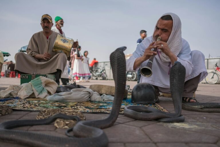 Private Full-Day Marrakech Walking Tour