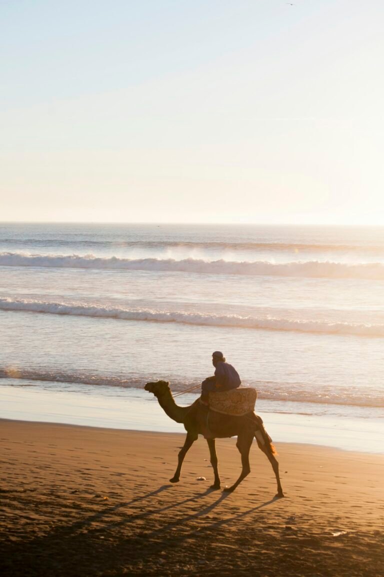 Private Marrakech to Agadir Beach Day Trip
