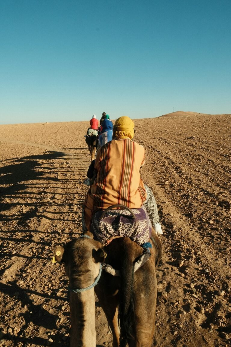 Quad Biking & Camel Ride Combo in Marrakech