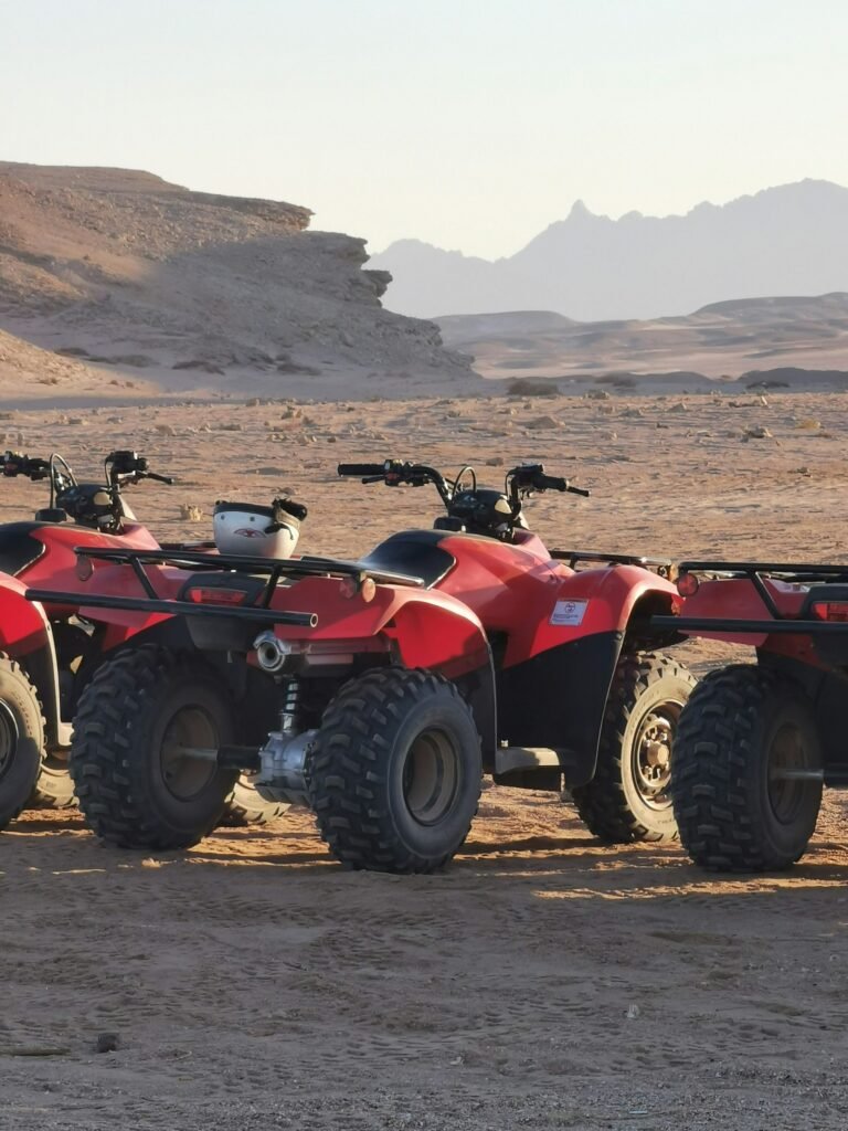 Quad Biking in the Marrakech Palm Grove