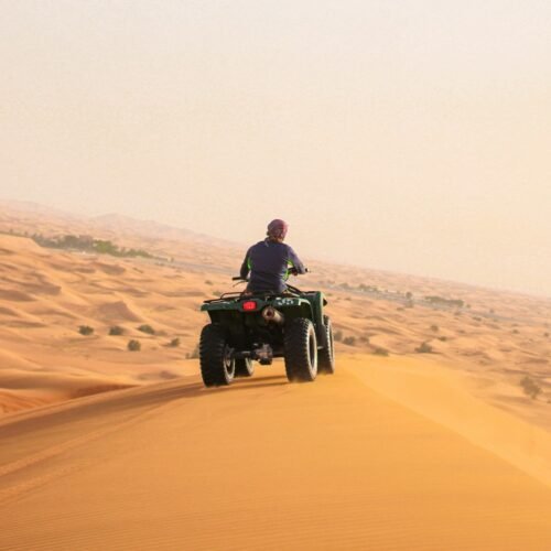 Quad Biking in the Marrakech Palm Grove