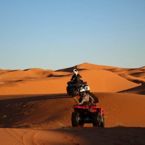 Quad Biking in the Marrakech Palm Grove