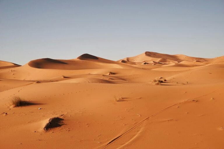 Private 4-Day Marrakech to Fes Desert Tour