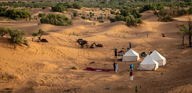 Shared 3-Day Sahara Crossing from Marrakech to Fes